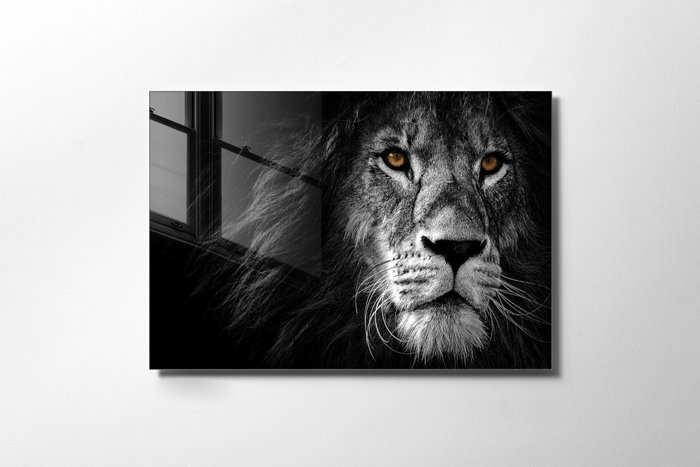 Wallity Cuadro Decorativo de Vidrio Templado Multicolor 70 x 100 cm